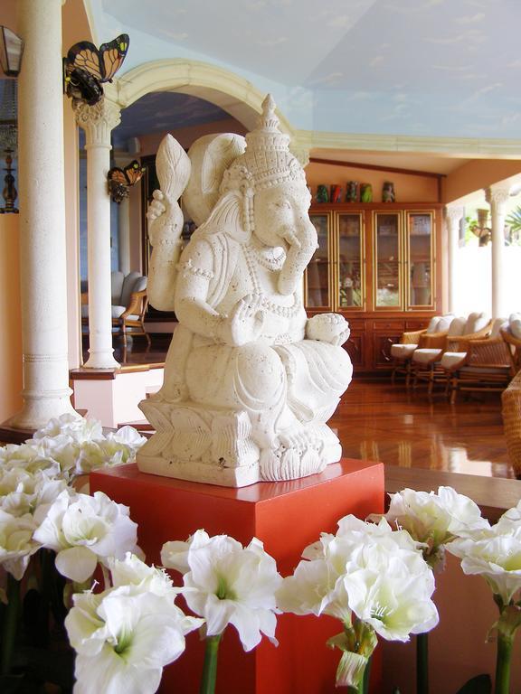 Hotel Cuna Del Angel Доминикал Екстериор снимка